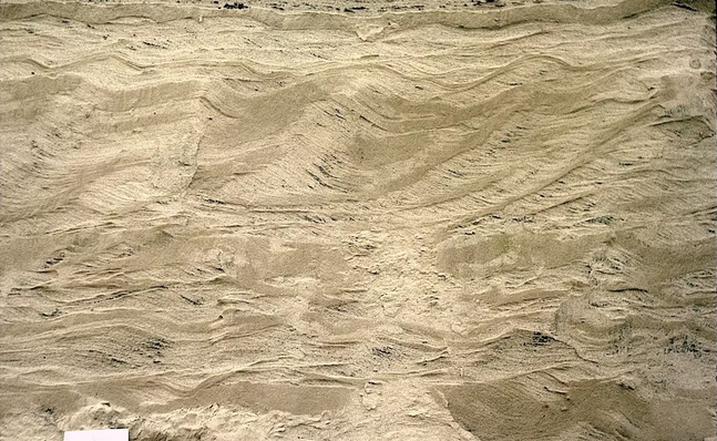 115   现代河流中常见的舌状波痕     116   含细粒物质的反递变层理